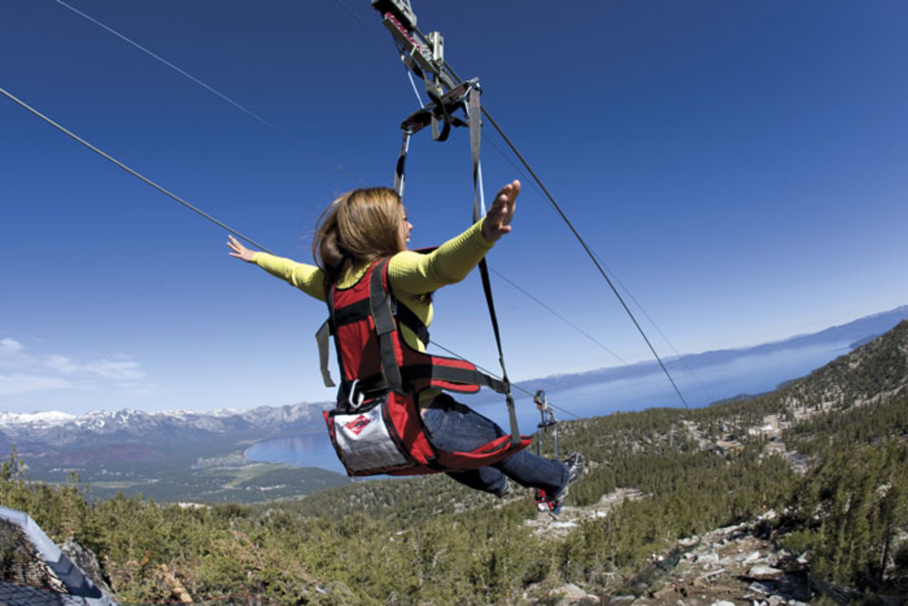 Zipline